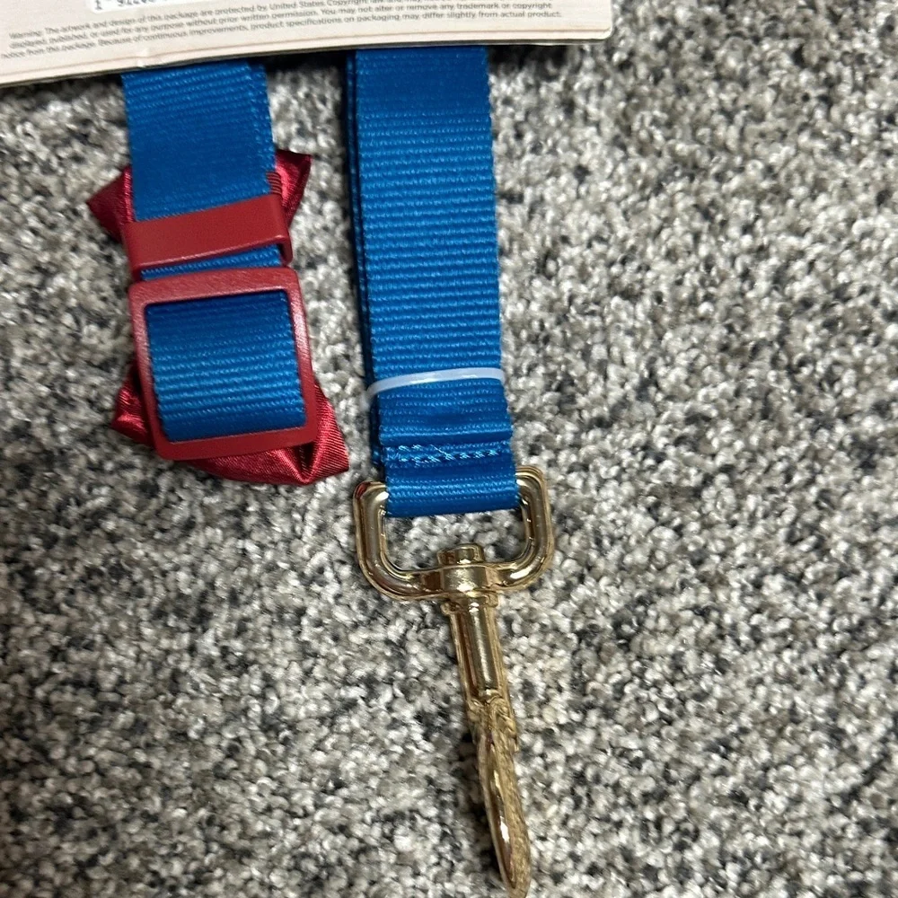 Kids Blue Nylon Leash and Collar Set with Red Bow
